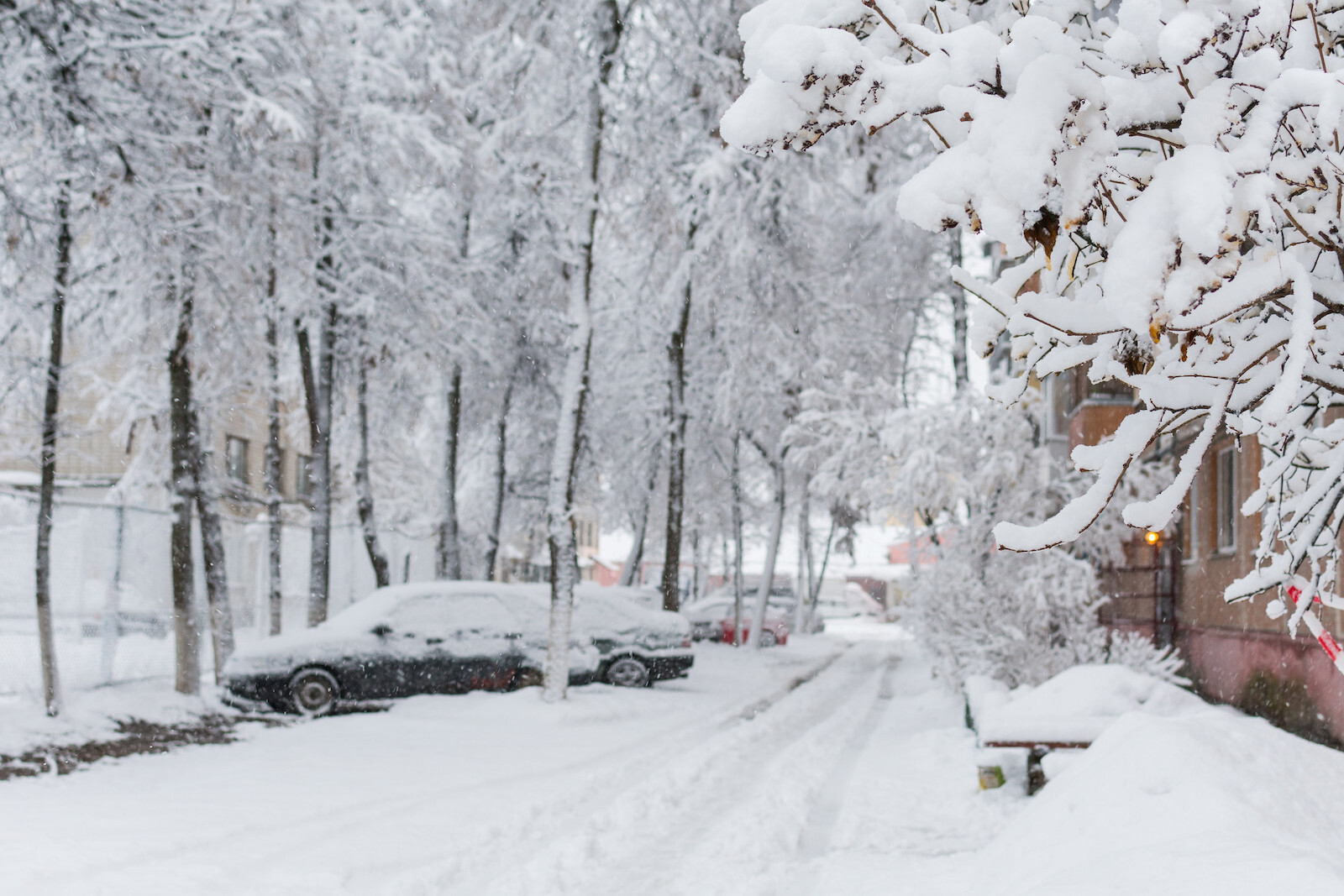 How Can I Avoid Disaster to My Home During Severe Winter Weather?