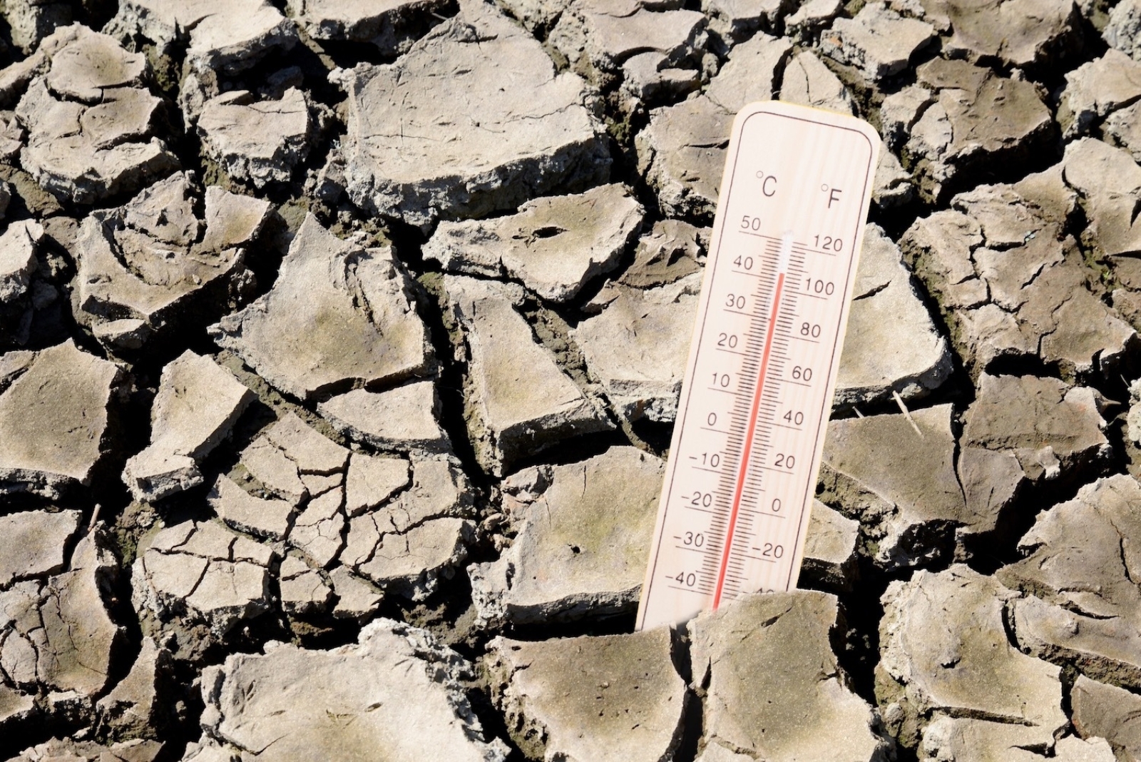 How to Manage Humidity and Heat to Protect Your Home