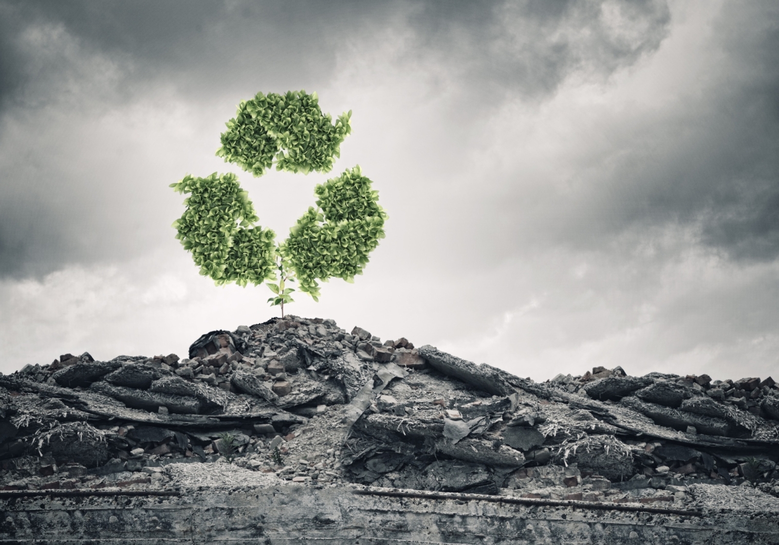 Building a Sustainable Future: Best Eco-Friendly Practices in Disaster Recovery
