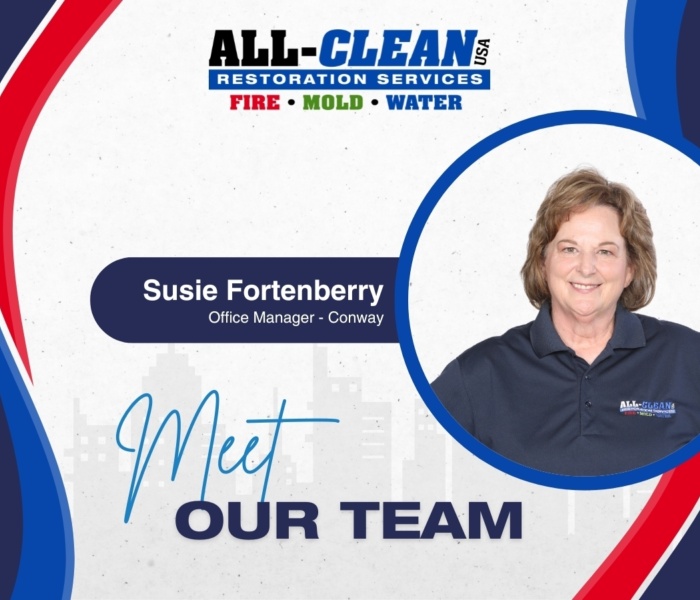 Meet the Team - Introducing Susie Fortenberry