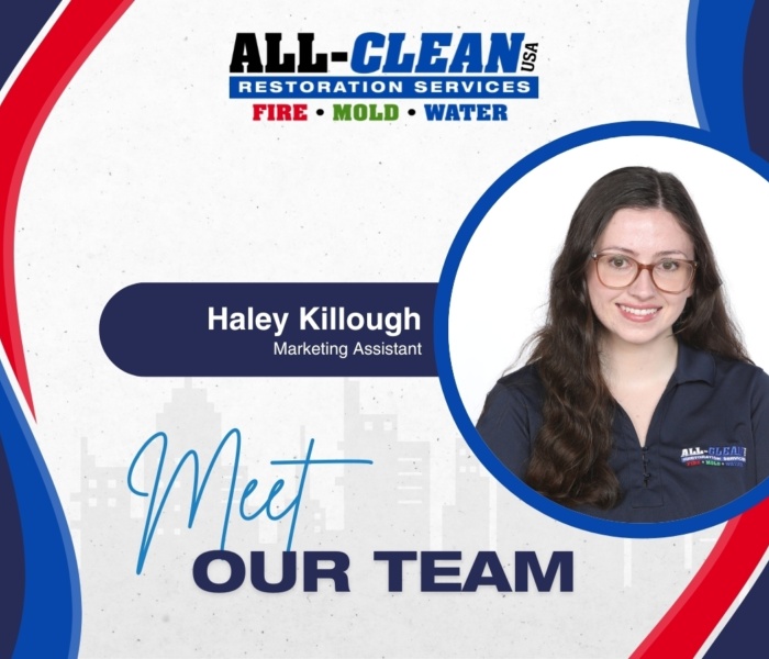 Meet the Team - Introducing Haley Killough