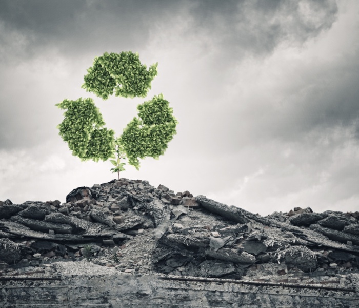 Eco-Friendly Best Practices in Disaster Recovery