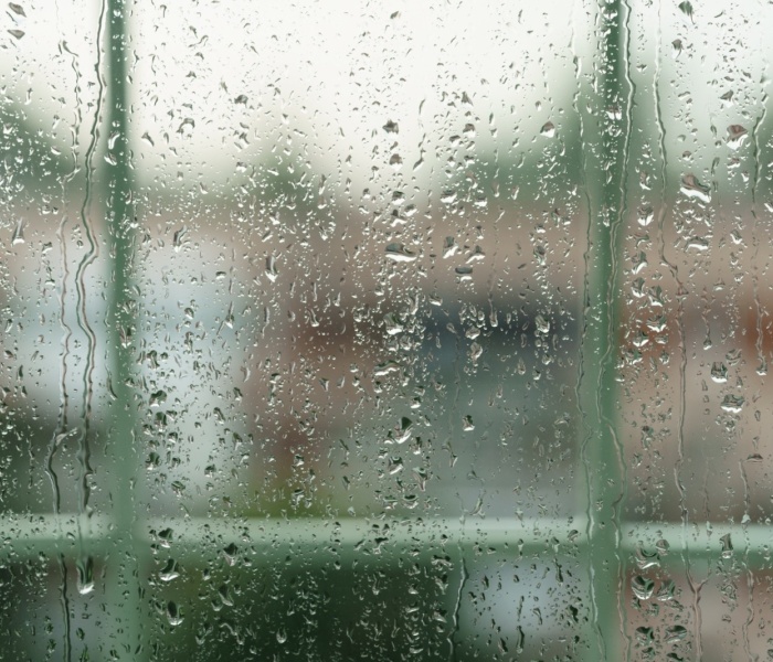 How to Prevent Basement Flooding in Your Business